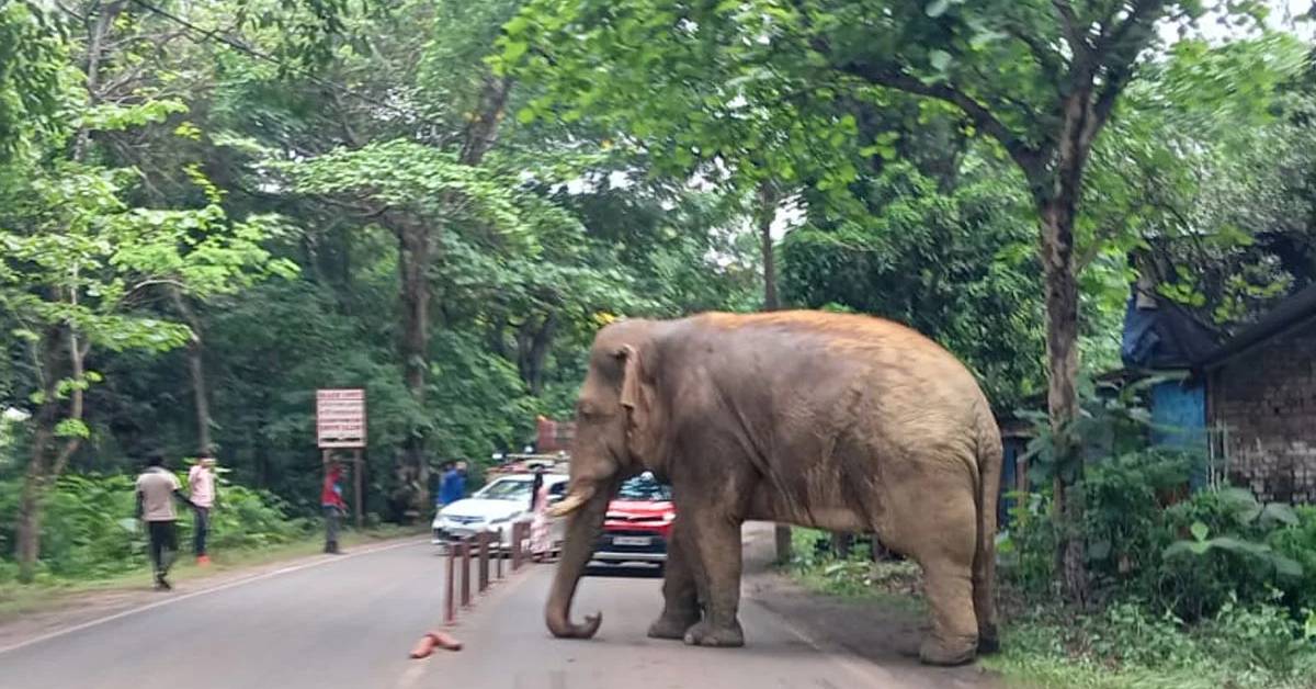 Ramlal obstruction